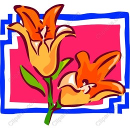 Vibrant Lily Floral