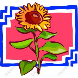 Vibrant Sunflower