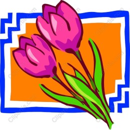 Vibrant Pink Tulip Bouquet