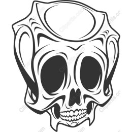 Skull