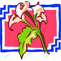 Elegant Calla Lily
