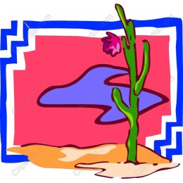 Desert Bloom - Vibrant Cactus
