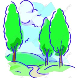 Vibrant Nature Landscape