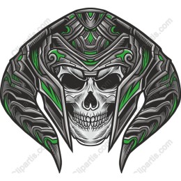 Vengeful Skull