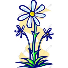 Delightful Daisy Floral