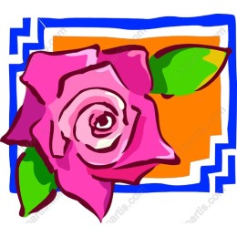 Vibrant Pink Rose