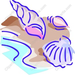 Coastal Seashell