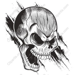 Black and White Skull