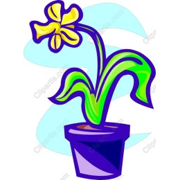 Cheerful Flower Pot