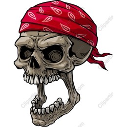 Skull with Red Bandana
