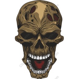 Realistic Skull