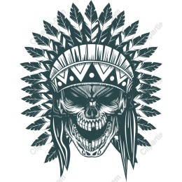 Skull with Native American Headdress