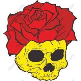 Skull and Rose
