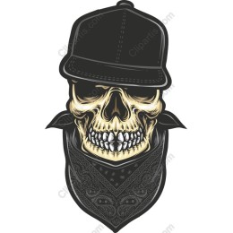 Urban Skull