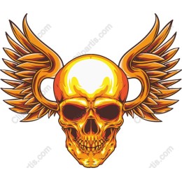 Wings of Freedom Skull