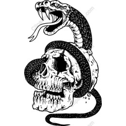 Snake and Skull