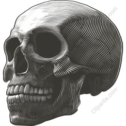 Intricate Skull