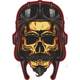Vintage Pilot Skull
