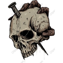 Claw-Gripped Skull