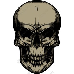 Skull - Edgy Artistic