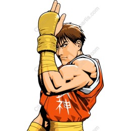 Dynamic Martial Artist