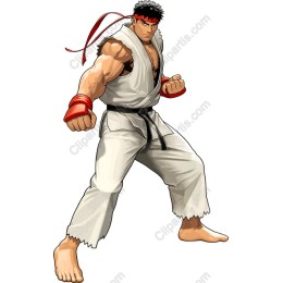 Martial Arts Warrior