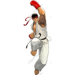 Martial Arts Fighter