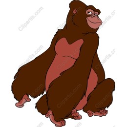 Charming Gorilla