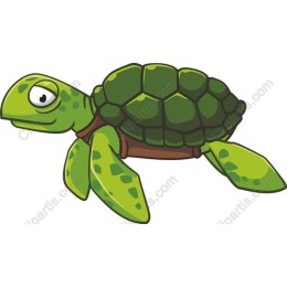 Cartoon Turtle