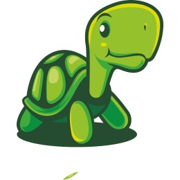 Cheerful Green Turtle