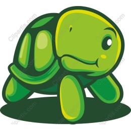 Cartoon Turtle