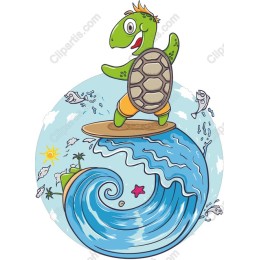 Surfing Turtle