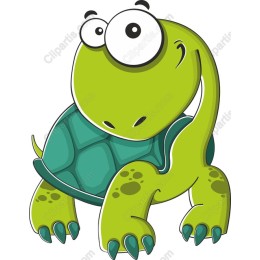 Charming Cartoon Turtle