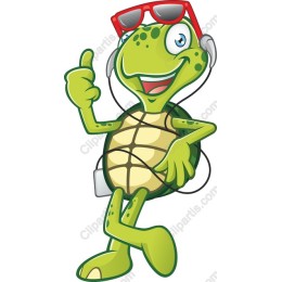 Cheerful Turtle