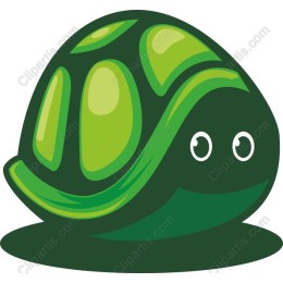 Cute Turtle