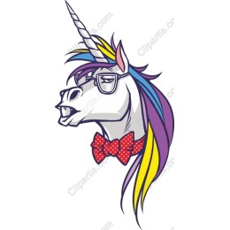 Geeky Unicorn
