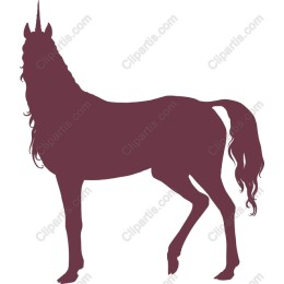 Enchanting Unicorn