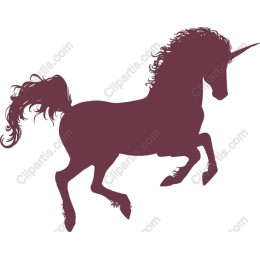 Enchanting Unicorn