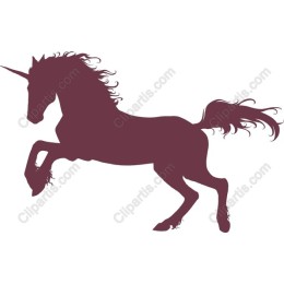 Enchanting Unicorn