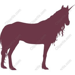 Enchanting Unicorn