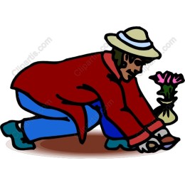 Garden Enthusiast