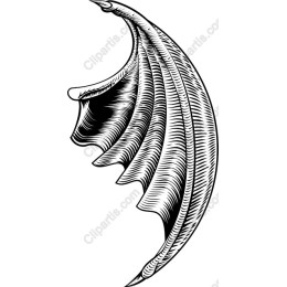 Stylized Shell
