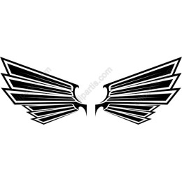 Wings