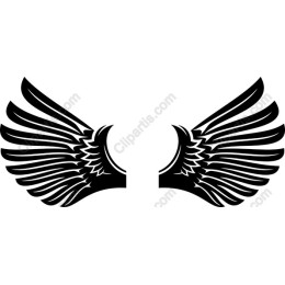 Elegant Wings