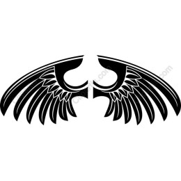 Stylized Wing