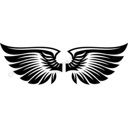 Elegant Wings