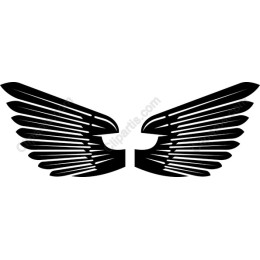 Elegant Wing