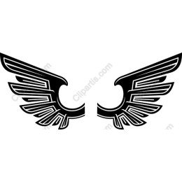 Stylish Black Wings