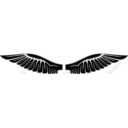 Elegant Wing