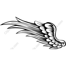 Stylized Wing